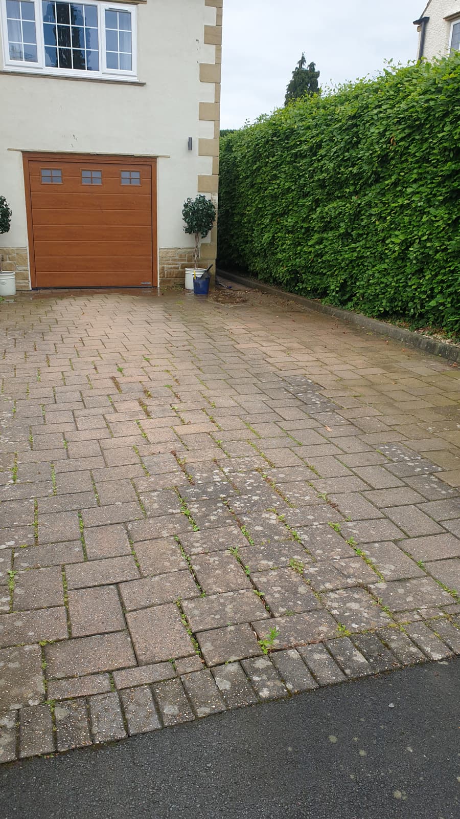 Path power wash transformation - before